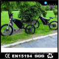 High quality classical factory fat tire electric bike